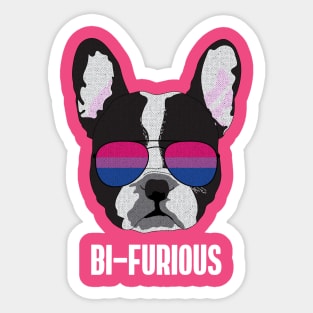 BI-FURIOUS - Boston Terrier Dog Bi Bisexual Pride Flag Sticker